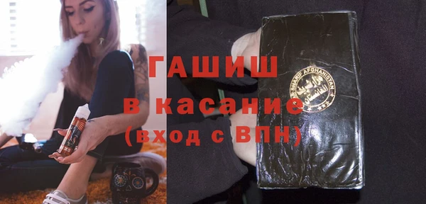 гашик Ладушкин