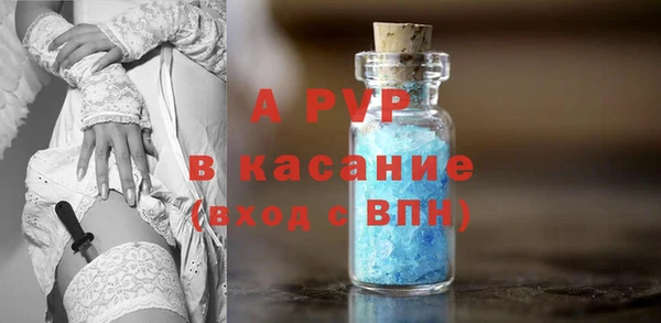 гашик Ладушкин