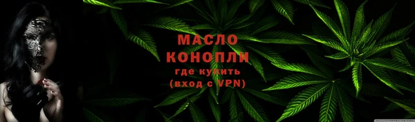 гашик Ладушкин