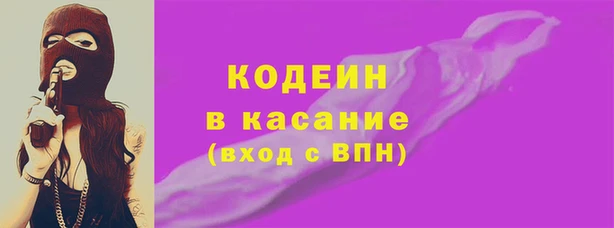 индика Лабытнанги