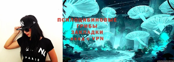 индика Лабытнанги