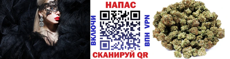 купить наркотик  Полысаево  Шишки марихуана сатива 